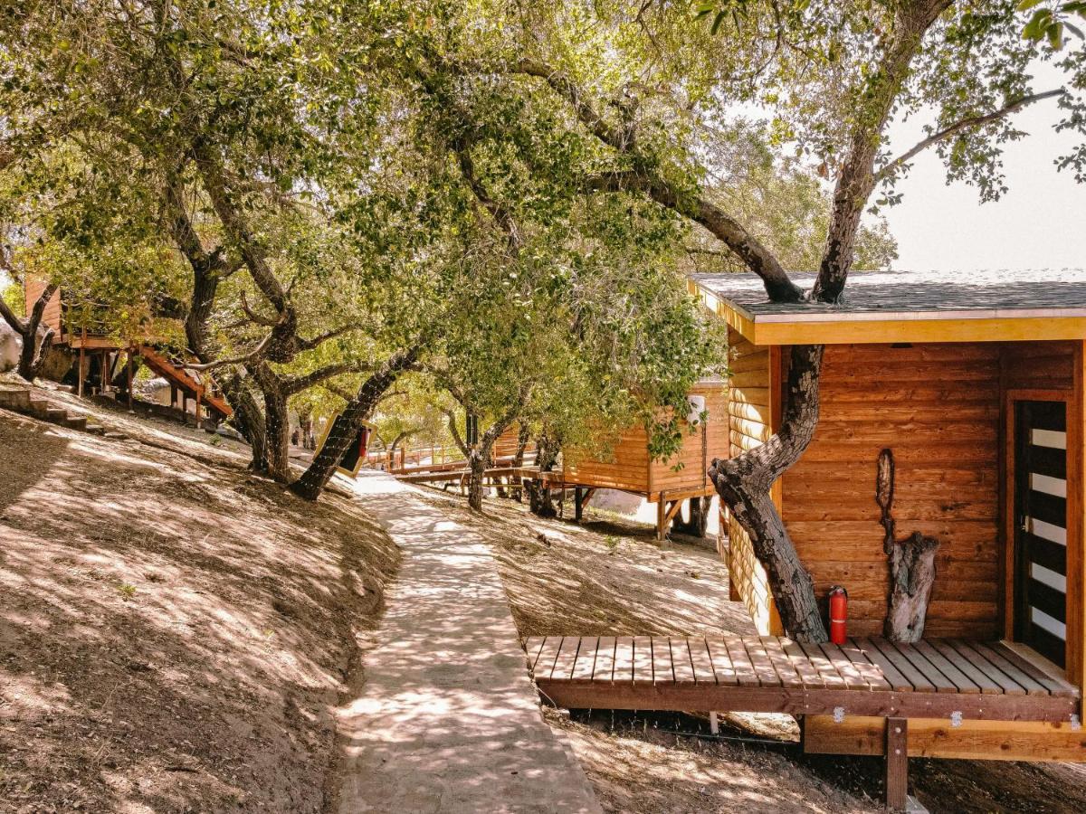 Boskenvid Hotel Boutique, Skypool Valle de Guadalupe Exteriör bild