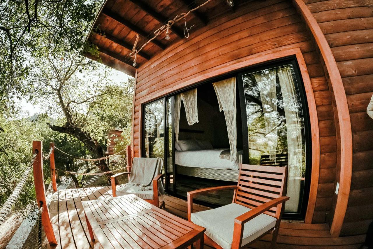Boskenvid Hotel Boutique, Skypool Valle de Guadalupe Exteriör bild