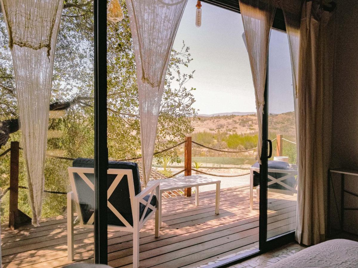 Boskenvid Hotel Boutique, Skypool Valle de Guadalupe Exteriör bild