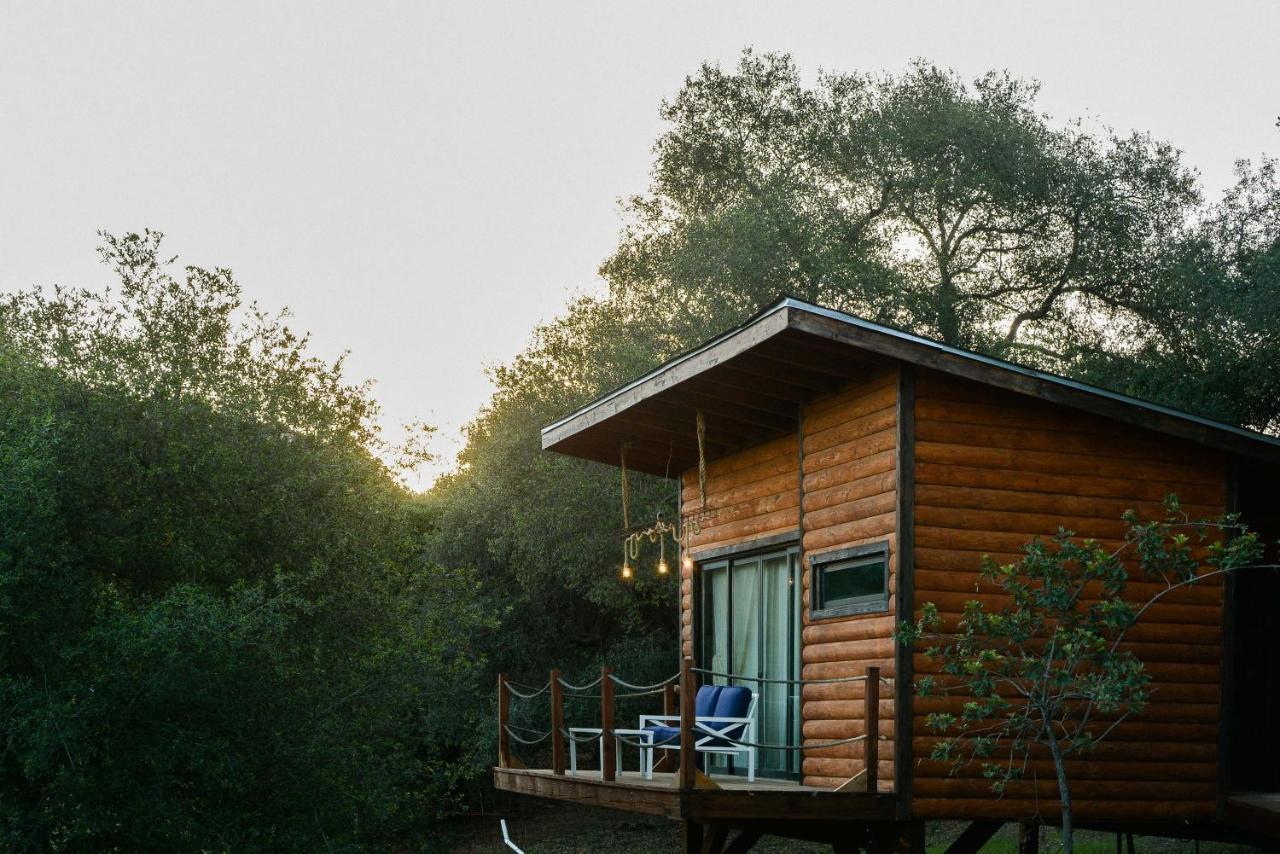 Boskenvid Hotel Boutique, Skypool Valle de Guadalupe Exteriör bild