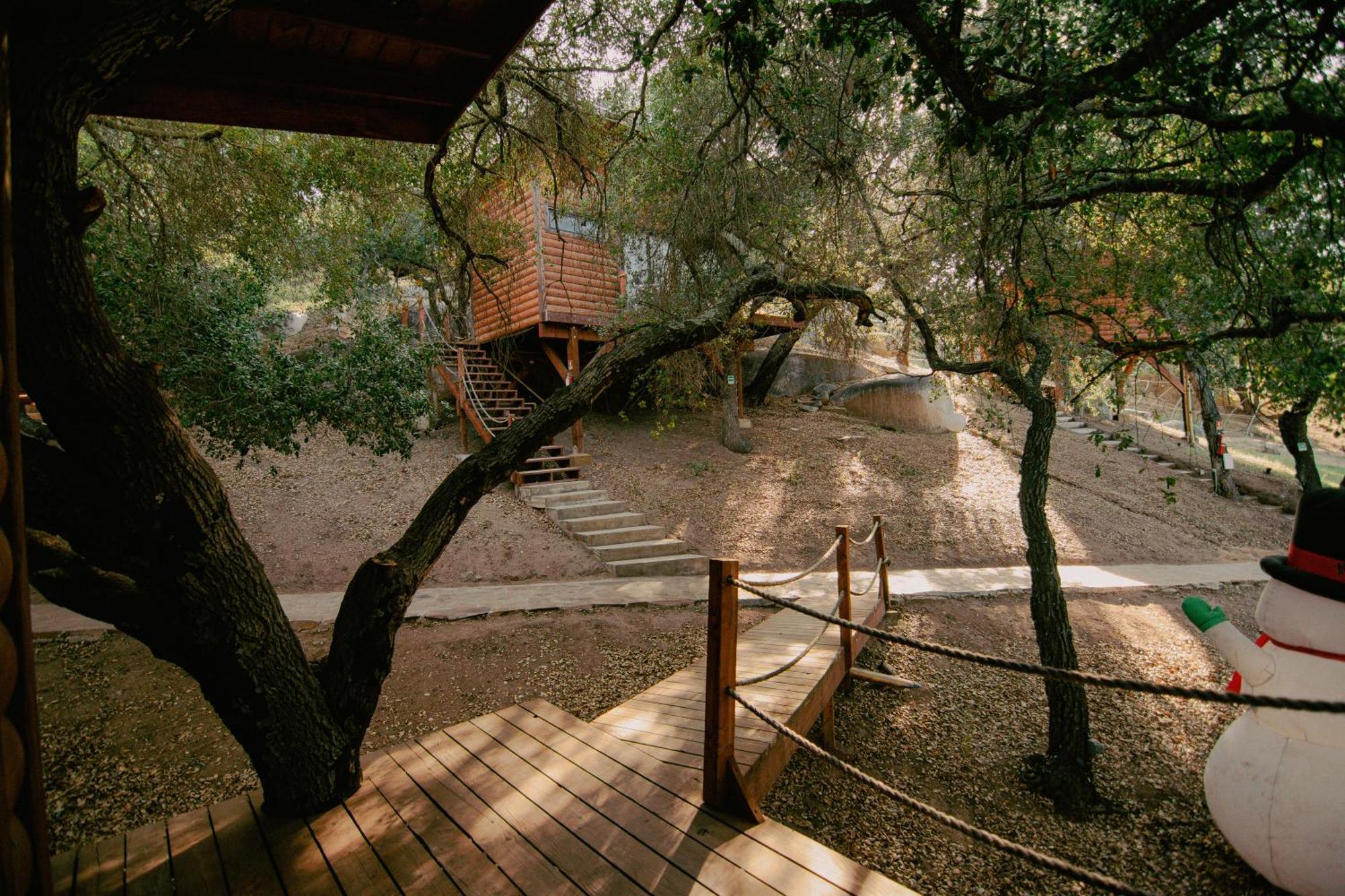 Boskenvid Hotel Boutique, Skypool Valle de Guadalupe Exteriör bild